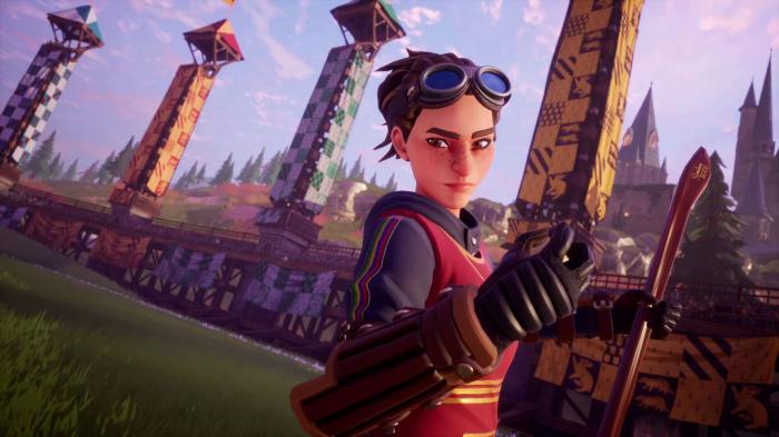 campeones de quidditch harry potter