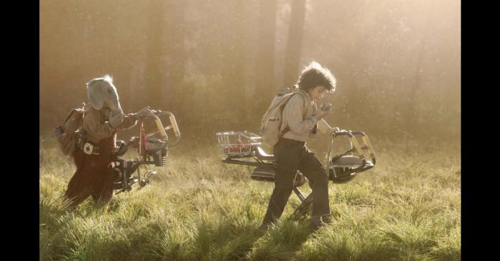 tripulación esqueleto 12