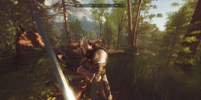 The Wayward Realms: las 8 razas jugables del juego de los creadores de The Elder Scrolls 3 los-reinos-descarriados_fantasia_rpg