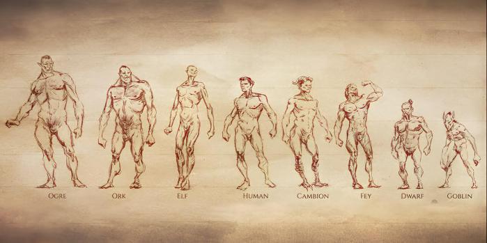 The Wayward Realms: las 8 razas jugables del juego de los creadores de The Elder Scrolls 4 los-reinos-descarriados_fantasia_rpg