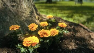 umbrella academy saison 4 scene post generique