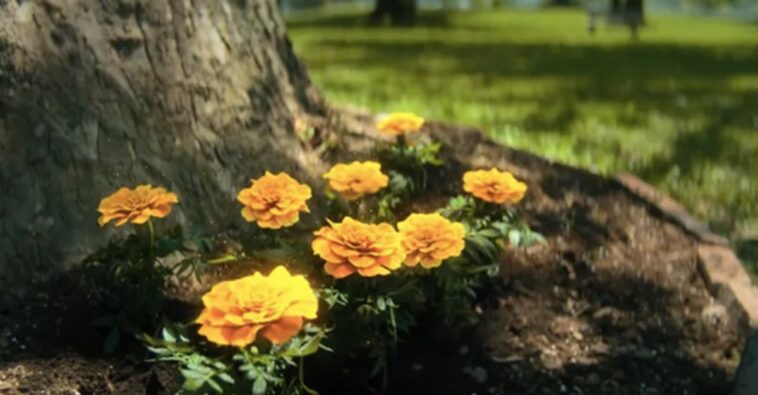 Temporada 4 de Umbrella Academy: ¡Explicación de la escena posterior a los créditos! 1 umbrella academy saison 4 scene post generique