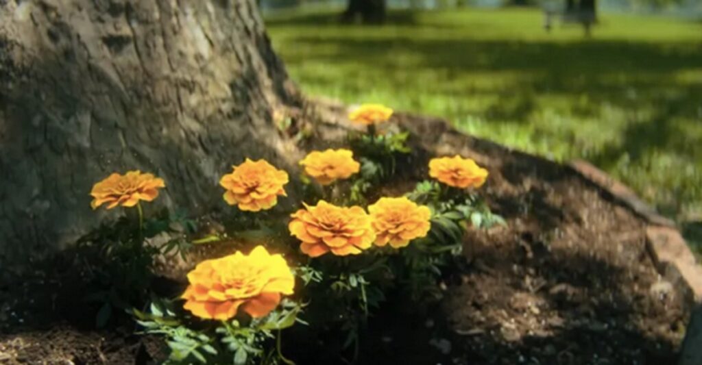 Temporada 4 de Umbrella Academy: ¡Explicación de la escena posterior a los créditos! 2 Escena posterior a los créditos de la temporada 4 de Umbrella Academy