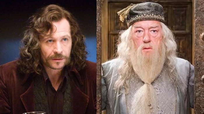 Sirius Black y Dumbledore