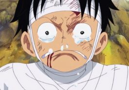 Monkey D. Luffy dans One Piece