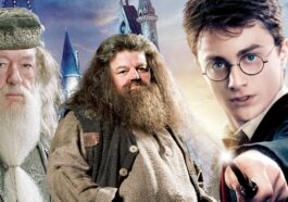 1733561739 Harry Potter Hbo Ha Encontrado A Su Dumbledore Y Su.jpg