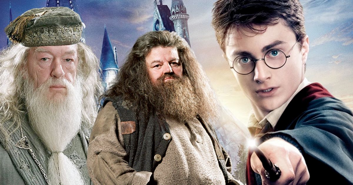 1733561739 Harry Potter Hbo Ha Encontrado A Su Dumbledore Y Su.jpg