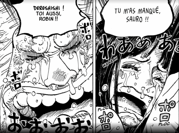 robin y sauro