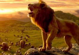 1734370161 Mufasa El Rey Leon ¿donde Ver Streaming ¿fecha De Lanzamiento.jpg