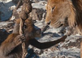 1734413362 Mufasa El Rey Leon ¿que Fecha De Lanzamiento De Disney.jpg