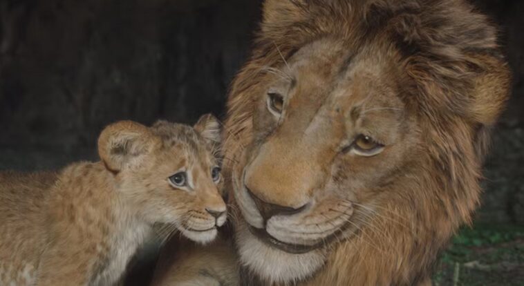 Mufasa el Rey León: ¡Explicación del final! ¿Quién murió? 1 1734709334 Mufasa El Rey Leon ¡explicacion Del Final ¿quien Murio.jpg