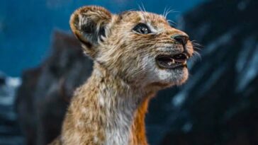 1734735818 Mufasa ¿quien Es El Hermano De Kiara ¿es Este Kion.jpg