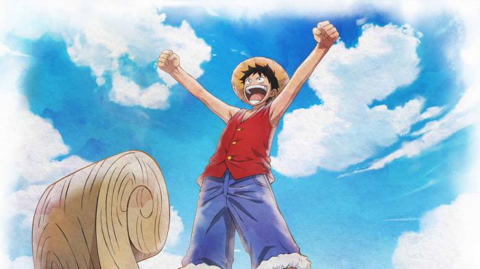 Luffy, un héroe único