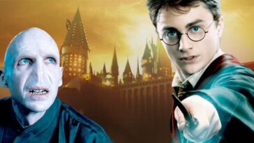 1734969821 Harry Potter Antes De La Serie De Hbo Los Fanaticos.jpg