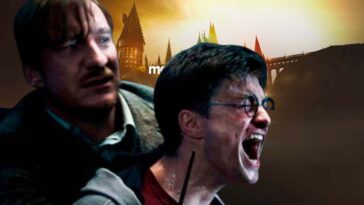 Harry Potter Esta Noticia Molestara A Los Mas Impacientes.jpg