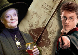 Harry Potter Estos 3 Elementos Que Faltan En Las Peliculas.jpg