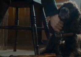 1735762581 Te Extrano Temporada 1 ¿que Le Pasa A Titus El.jpg