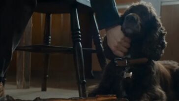 1735762581 Te Extrano Temporada 1 ¿que Le Pasa A Titus El.jpg