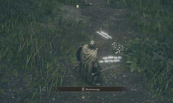 mensaje elden anillo