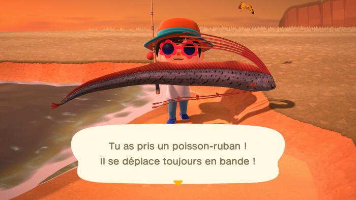 Animal cruzando nuevos horizontes