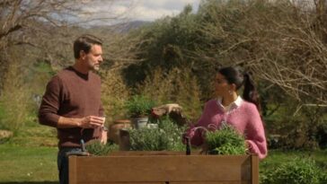 1739456970 The Dolce Villa ¡explicacion Del Fin.jpg