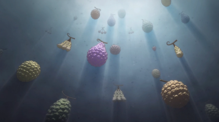 Frutos del demonio en una sola pieza