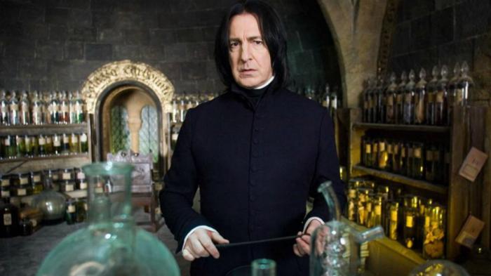 Severus pícaro