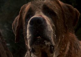 1741824058 Netflix Va Adaptar Un Libro Subestimado De Stephen King En.jpg