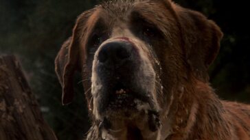 1741824058 Netflix Va Adaptar Un Libro Subestimado De Stephen King En.jpg