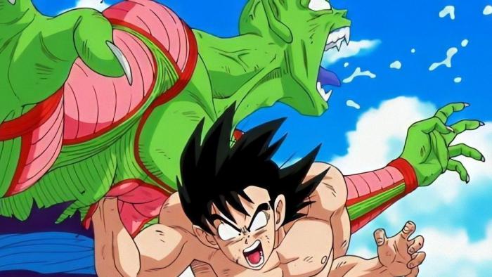 Dragon Ball Piccolo Fight Loose Fight