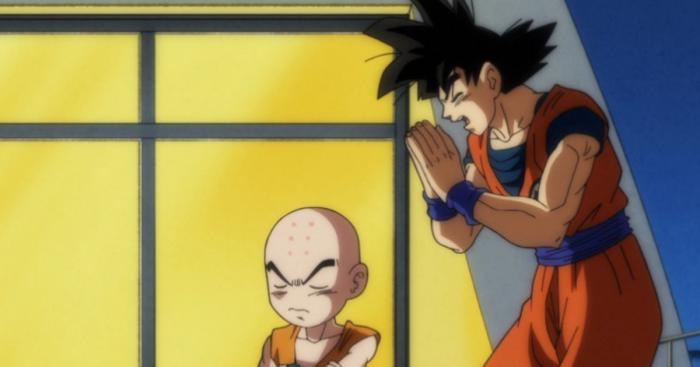 Proveedor de Goku Krillin