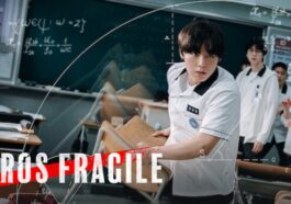 1743010134 Fragile Hero Season 2 ¿que Fecha De Lanzamiento De Netflix.jpg