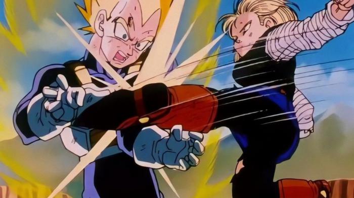 Dragon Ball Vegeta Fight Loose Fight