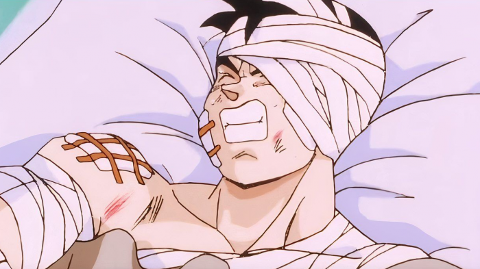 Dragon Ball Gohan Fight Loose Fight