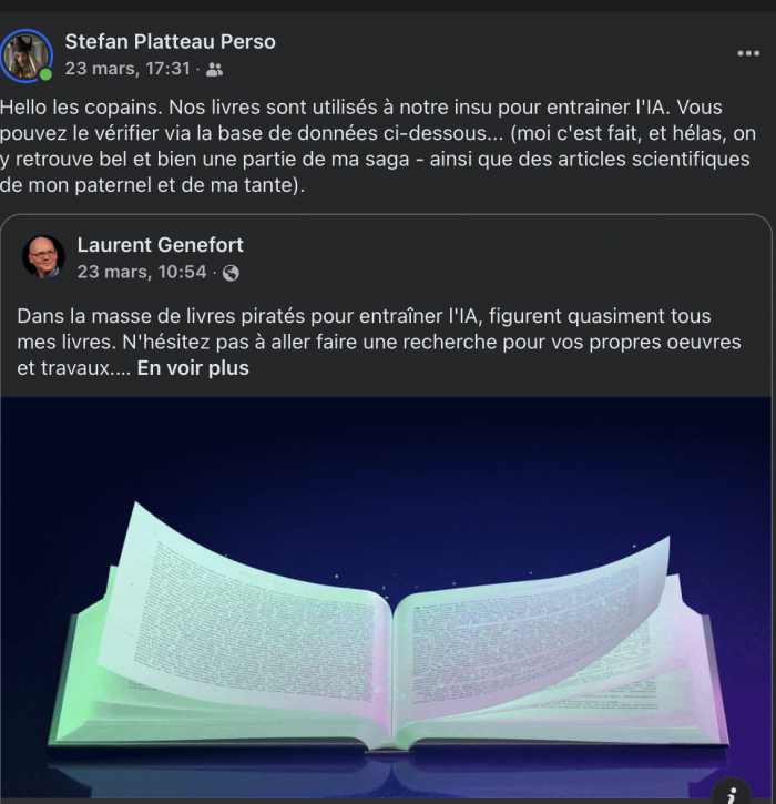 Meta saqueo de fantasía