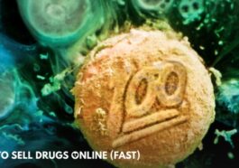 1743957632 Como Vender Drogas En Linea Temporada Rapida 4 ¿que Fecha.jpg