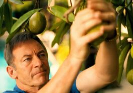 1744130428 La Temporada 3 De Lotus White ¿existe La Fruta Mortal.jpg