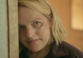 1744174429 Tema De La Talla De La Manda De La Mayales.jpg