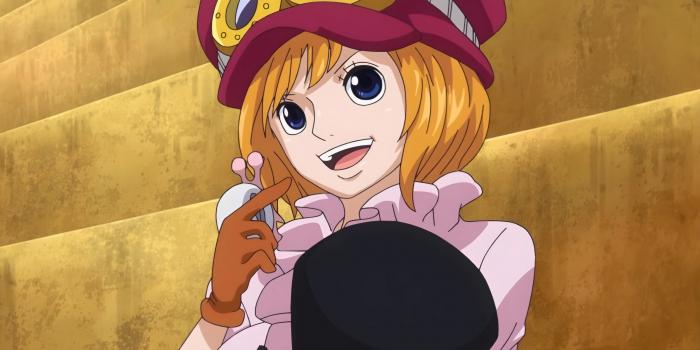 Koala en una sola pieza