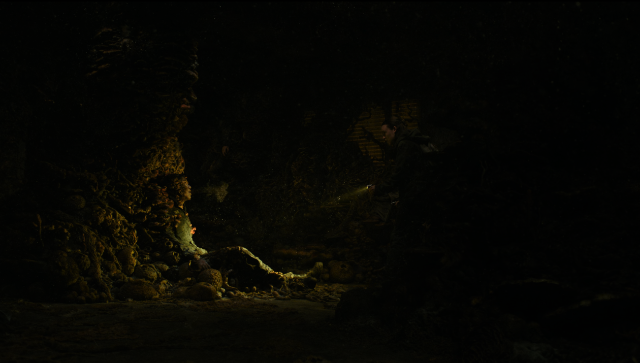 The Last of Us temporada 2