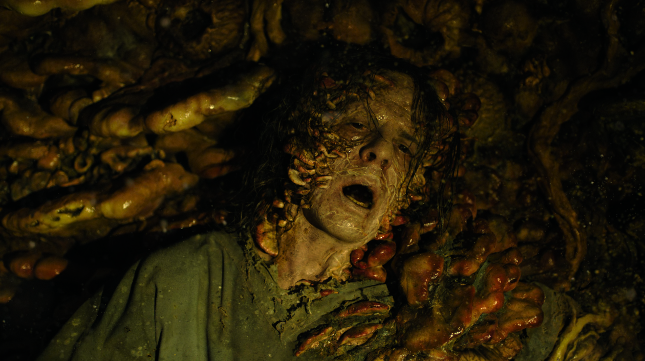 The Last of Us temporada 2