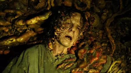 Esporas el último de nosotros