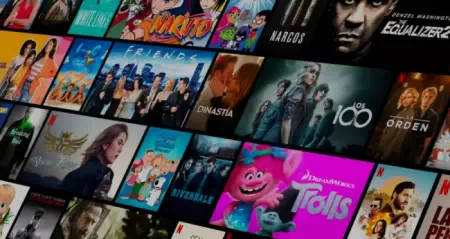 Página de Netflix D