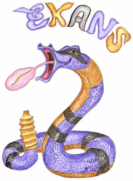 Fakemon Pokémon Pokumum