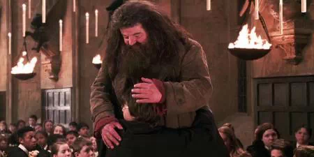 Harry Potter Hagrid