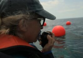 Titan Oceangate: ¿Qué pasa con Wendy Rush hoy?