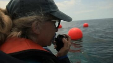 Titan Oceangate: ¿Qué pasa con Wendy Rush hoy?