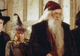 ¿Este maestro ausente de las películas de Harry Potter al casting de la serie HBO?
