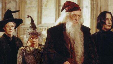 ¿Este maestro ausente de las películas de Harry Potter al casting de la serie HBO?