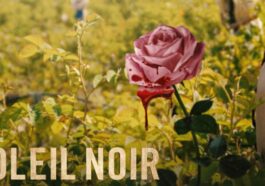 ¡Serie 5 similar al Sol Negro que debería complacerlo!